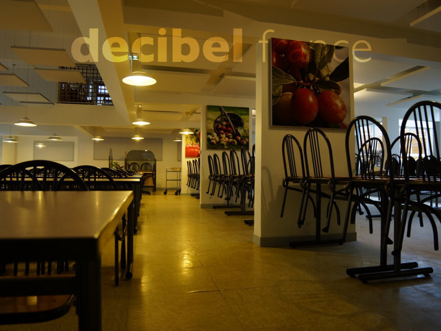 Ligne acoustissimo® restaurant iufm (54)
