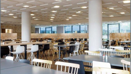 Confort acoustique en restaurant d'entreprise