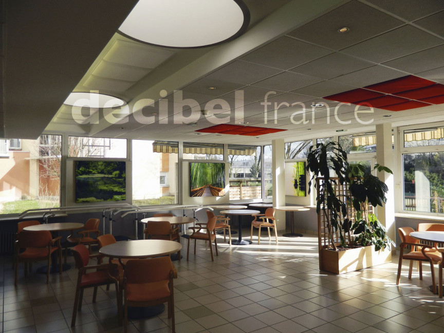 Correction acoustique absorbante salle de restauration (51)