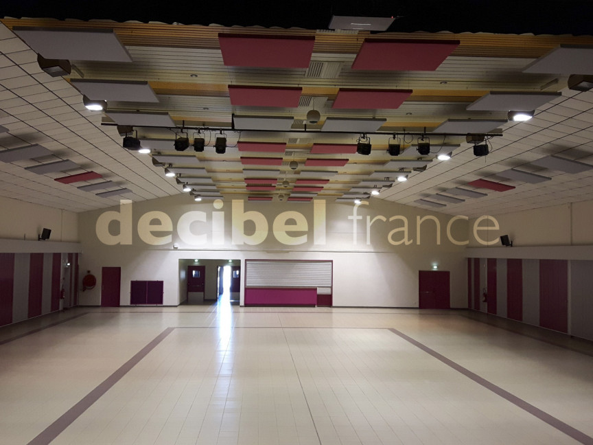 Traitement acoustique salle polyvalente (54)